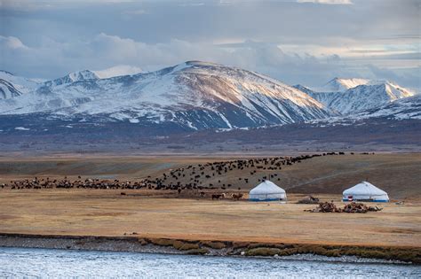 Mongolia Adventure Tours – Best Tours In Mongolia