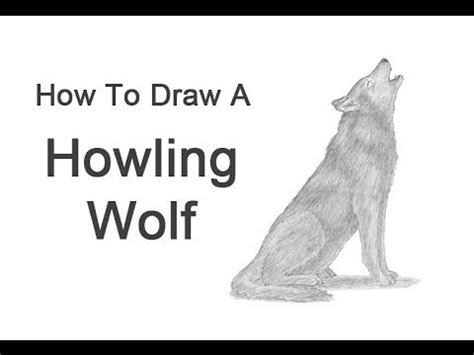 draw  wolf howling wolf howling wolf drawing animal drawings