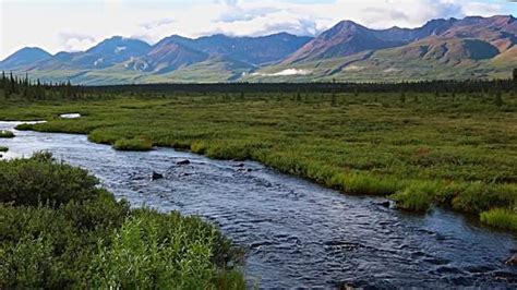 river  alaska stock footage videohive