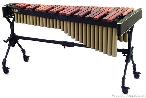 interesting facts about the xylophone just fun facts