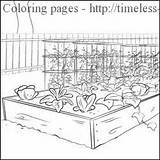 Coloring Pages Garden Vegetable Farm Printable Sheets Preschool Gardens Worksheet Color Book Butterfly Worksheets Farming Miracle Timeless Kids Eco Growing sketch template