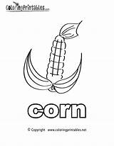 Corn Coloring Pages English Printable Noun Cob Stalk Drawing Printables Alphabet Thank Please Getdrawings Cornstalk Library Clipart Coloringprintables Popular Comments sketch template