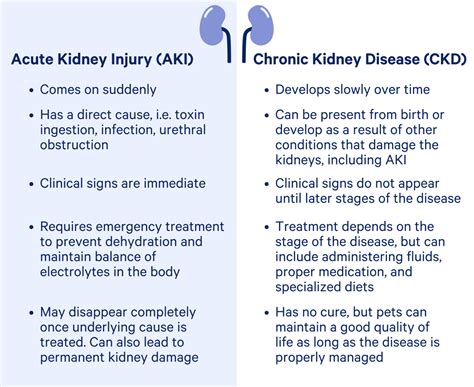 acute kidney injury updated  karas veterinary clinic
