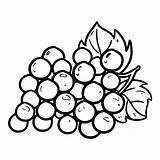 Coloring Pages Grapes Grape Bunch Printable Kids sketch template