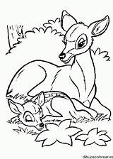 Coloring Pages Disney Bambi Choose Board Para Cartoon Colouring Animal sketch template