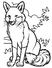 printable animals coloring pages sheets topcoloringpagesnet