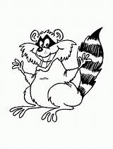 Raccoon Pages Coloring Print sketch template