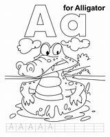 Alligator Coloring Pages Printable Practice Worksheets Alphabet Preschool Kids Handwriting Letter Print Jumbo Letters Activities Colouring Abc Letscolorit Apple Alligators sketch template
