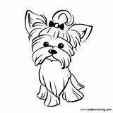 Yorkie Terrier Clipartmag Bettercoloring sketch template