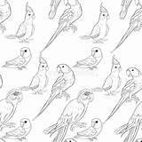 Masked Lovebird Parrot Perroquet Ara Araruna Perruche Masquée Coloration sketch template