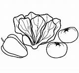 Vegetables Coloring Coloringcrew sketch template
