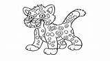 Baby Pages Coloring Leopard Getcolorings sketch template