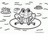 Coloring Nature Pages Frog Kids Easy Drawing Scenes Printable Sheets Cartoon Frogs Pond Coqui Crazy House Color Toad Cycle Life sketch template