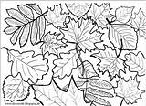 Coloring Zum Herbstblätter Ausdrucken Pages Ausmalen Kids Autumn Und Vorlagen Selber Sheets Bullet Doodle Journal Tipss Mandalas sketch template