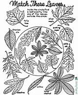 Coloring Fall Autumn Pages Leaves Sheet Tree Sheets Color Colouring Printable Worksheets Leaf Book Kids Nature Books Activities Printables Print sketch template