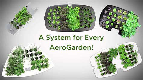 aerogarden seed starting systems youtube