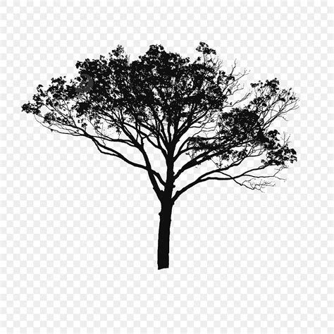 tree vector black  white tree vector clipart tree clipart tree png vector png transparent