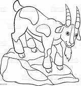 Goat Kanak Terbaik Koleksi Lucu Pewarna Kambing Goats sketch template