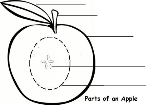 parts   apple learning activity