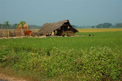 Village Life A Photo From Tamil Nadu South Trekearth