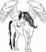 Pegasus Coloring Horse Pages Flying Drawing Printable Adult Adults Baby Color Getdrawings Template Unique Getcolorings Kids Drawings Colorings sketch template