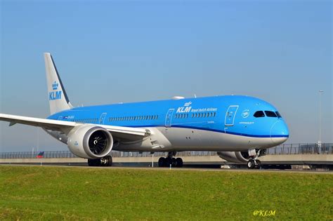 airline  klm flight experience   delicious experience   world