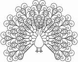 Coloring Peacock Pages Butterfly Mandala Color sketch template