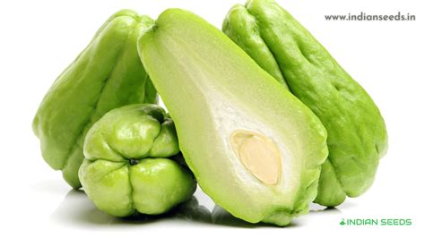 chow chow vegetable chayote complete info