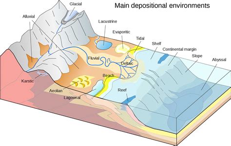 sedimentation understanding global change