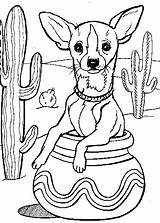 Chihuahua Coloring Pages Kids Drawings Outline Dog Book Printable Chihuahuas Puppy Drawing Dogs Mexican Mexico Chi Popular sketch template