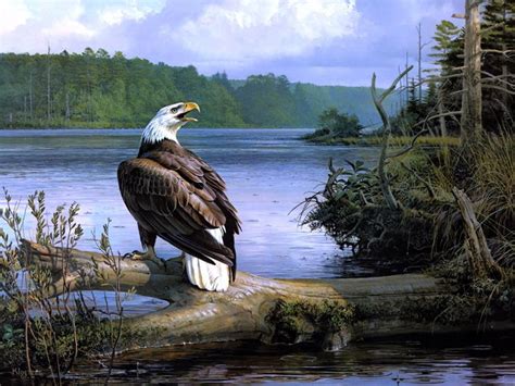 Beautiful Amazing Painting Art Bald Eagle Landscape 24x18 Wall Print Poster