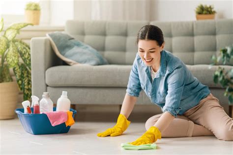 clean  messy house house cleaning steps dogtas