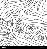 Topographic Stylized Linear sketch template