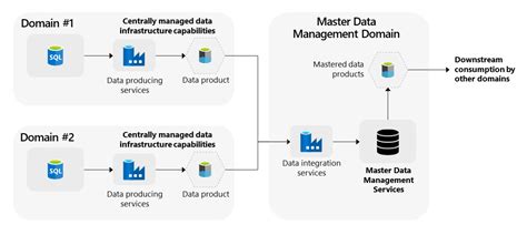 manage master data  data mesh cloud adoption framework microsoft learn