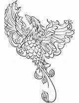 Phoenix Colorare Fantastici Mythical Disegni Pirografia sketch template