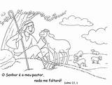 Senhor Salmos Bom Ovelhas Jacozinho Domingo Catequese Evangelico Escolha Primeira Fará Evangelhos sketch template
