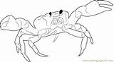 Crab Coloring Beach Coloringpages101 Pages sketch template