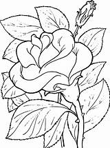 Para Colorear Coloring Flower Flor Printable Pages Colouring Visit Sheets Colorful sketch template