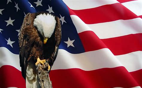 wallpaper   day eagle praying  america common sense evaluation