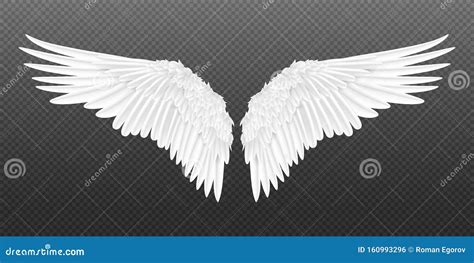 realistic wings pair  white isolated angel wings   feathers
