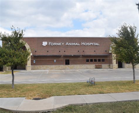 hospital vca forney animal hospital