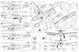 Warhawk 40 Blueprints Curtiss Blueprint Aircraft Schematic Wallpaper Rc Gimp Model 3d Drawingdatabase Airplanes Smcars Mustang Gif Military Different Using sketch template