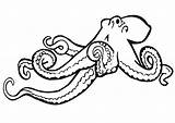 Octopus Coloring Pages Ocotopus Legs Easy Eight Kids Draw sketch template