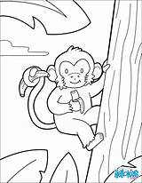 Coloring Monkey Pages Kids Jungle Color Hellokids Animals Print Animal Printable Book Preschool Choose Board Info Reading sketch template