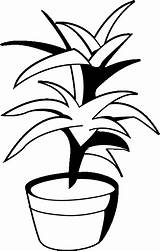 Pinclipart Plant Clipart sketch template