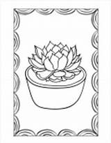 Succulent Coloring Color Adults Sheets Book Kids Subject sketch template
