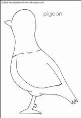 Bird Template Outlines Outline Popular Coloring sketch template