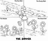 Sower Coloring Parable Pages Getcolorings Color sketch template