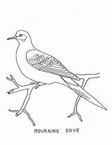 Dove Coloring Mourning 27kb sketch template