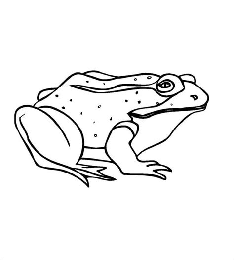 frog template animal templates